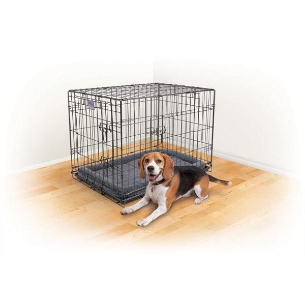 Kazoo Premium Dog Crate Medium (+_+)-Habitat Pet Supplies