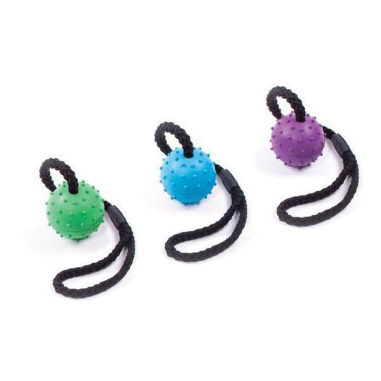Kazoo Rubber Sling Ball Small Dog Toy