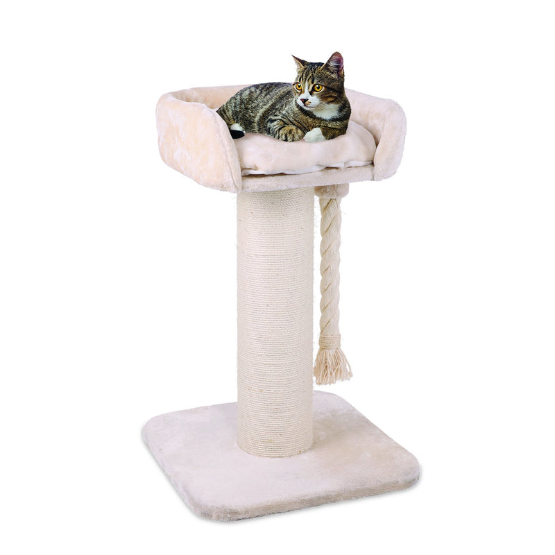 Kazoo Scratch Post High Bed Post with Cream Rope-Habitat Pet Supplies