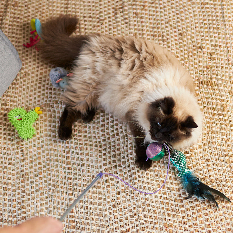 Kazoo Scruffy Cactus Cat Toy-Habitat Pet Supplies