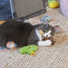 Kazoo Scruffy Cactus Cat Toy ^._.^
