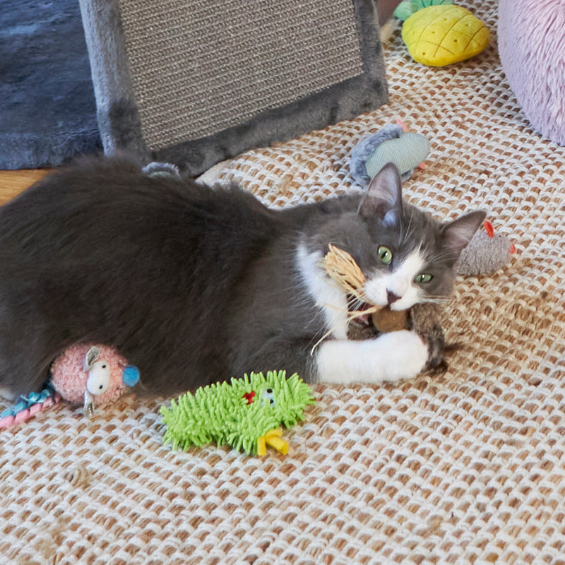 Kazoo Scruffy Cactus Cat Toy ^._.^