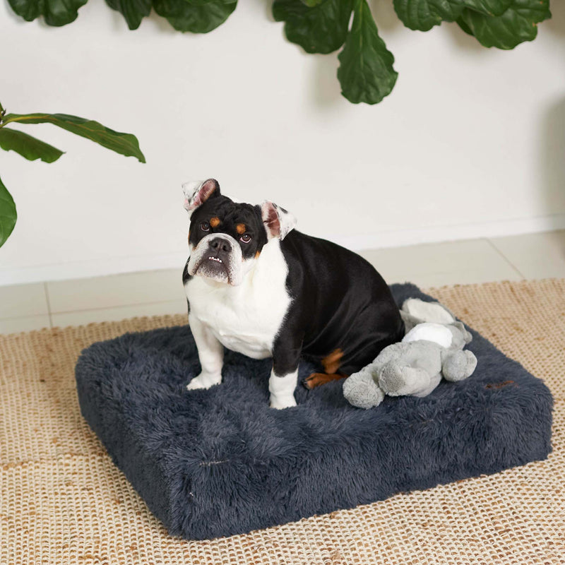 Kazoo Slumber Small Plush Grey Dog Bed***