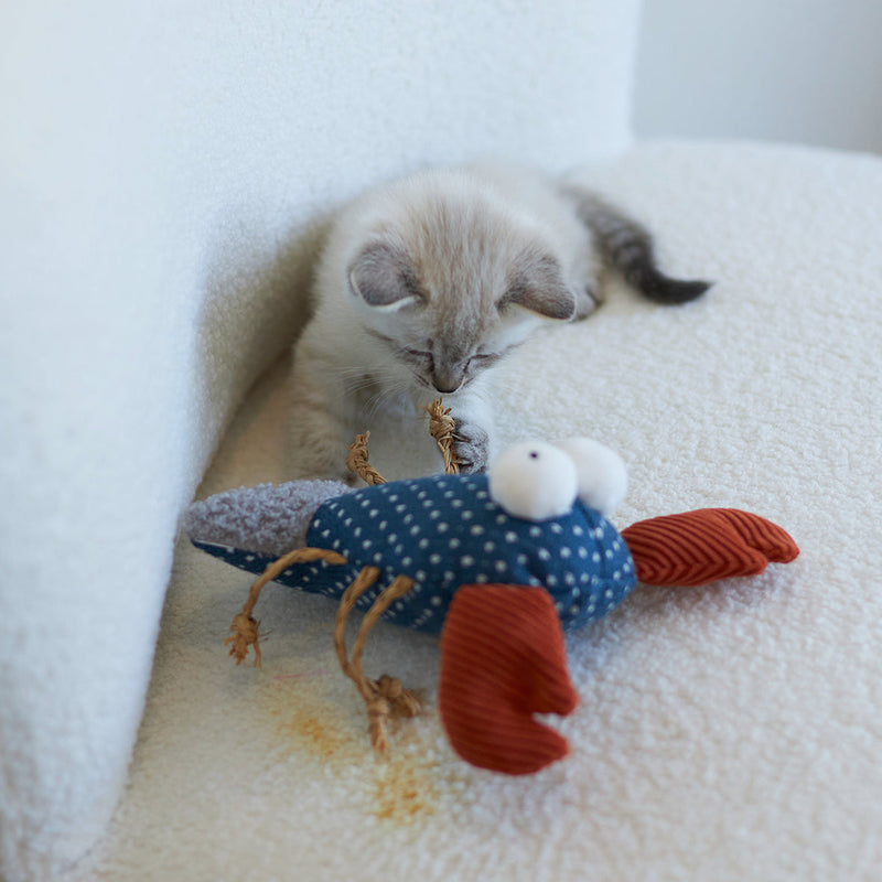 Kazoo Snappy Lobster Cat Toy