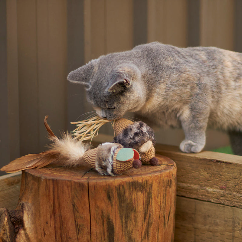 Kazoo Sneaky Mouse Cat Toy