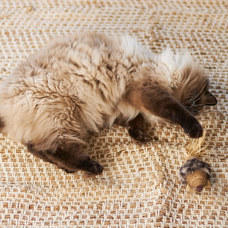 Kazoo Sneaky Mouse Cat Toy