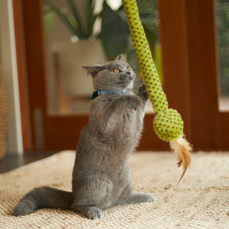 Kazoo Spotty Snake Play and Chase Wand Cat Toy ^._.^