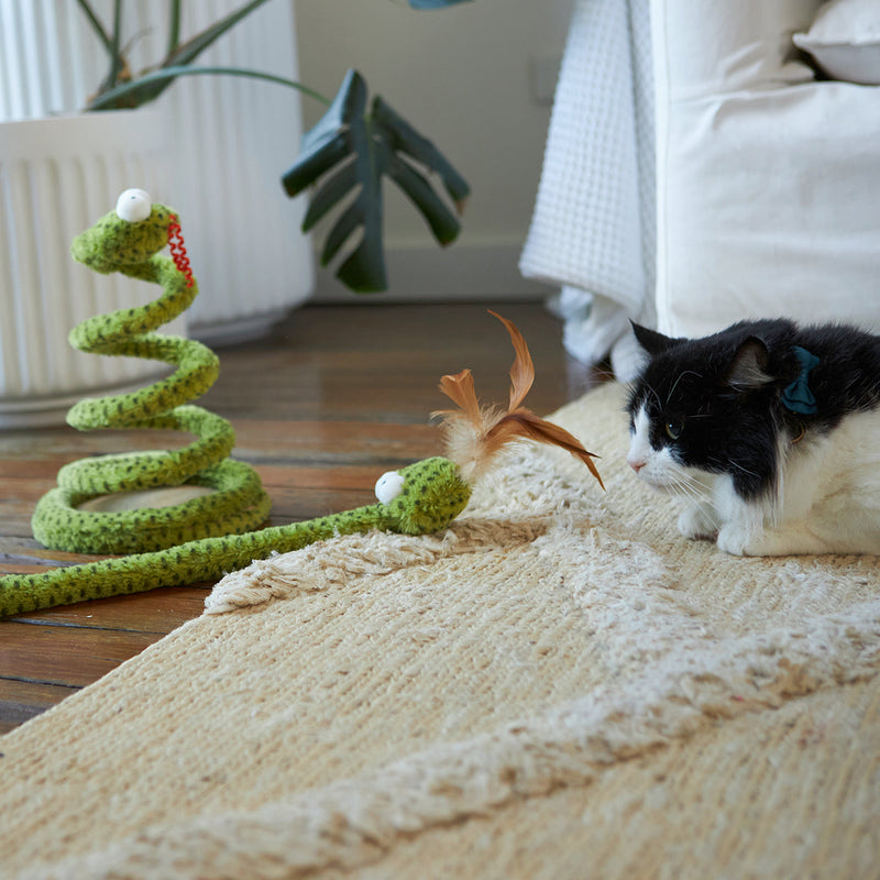 Kazoo Springy Snake Cat Toy
