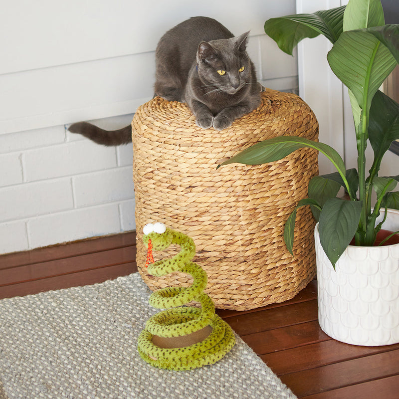 Kazoo Springy Snake Cat Toy
