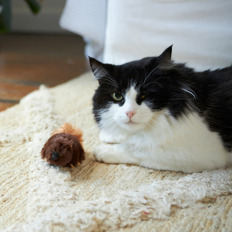 Kazoo Squishy Squirrel Cat Toy ^._.^