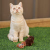 Kazoo Squishy Squirrel Cat Toy ^._.^