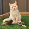 Kazoo Squishy Squirrel Cat Toy ^._.^