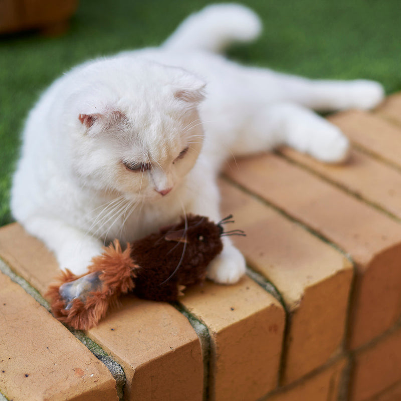 Kazoo Squishy Squirrel Cat Toy ^._.^