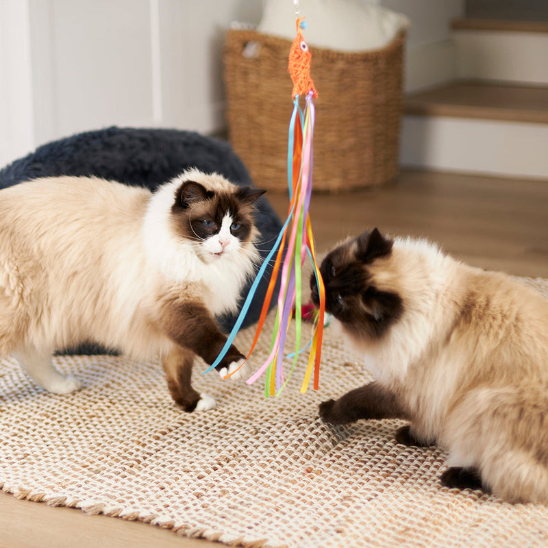 Kazoo Streamer Fish Play and Catch Wand Cat Toy