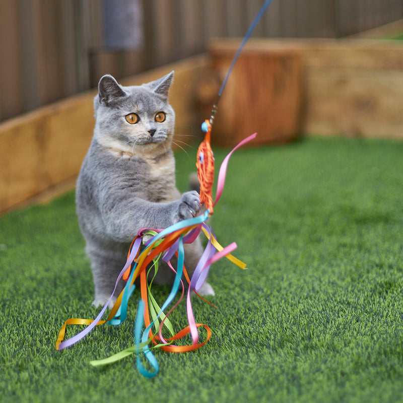 Kazoo Streamer Fish Play and Catch Wand Cat Toy