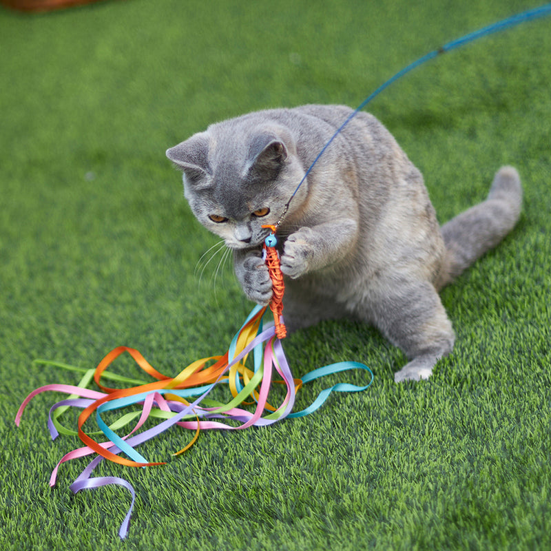 Kazoo Streamer Fish Play and Catch Wand Cat Toy