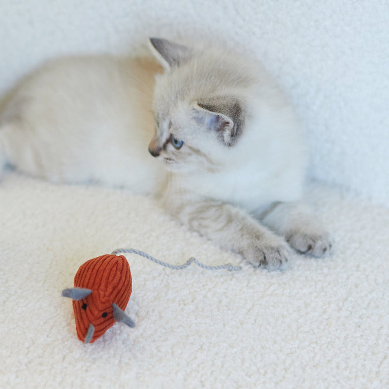 Kazoo Thrice the Mice Cat Toy 3 Pack ^._.^
