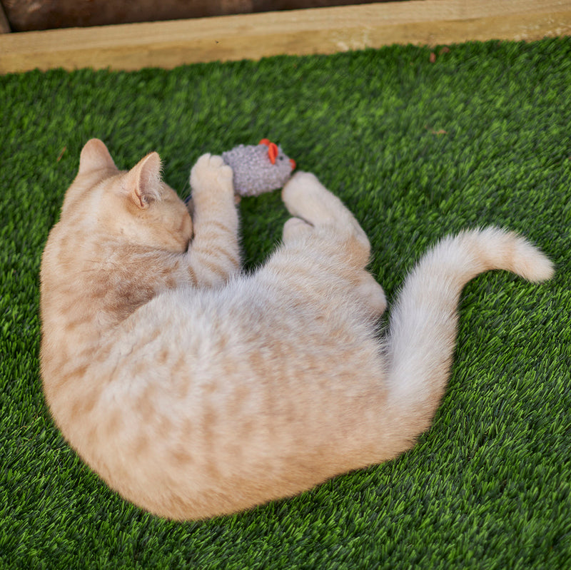 Kazoo Thrice the Mice Cat Toy 3 Pack ^._.^