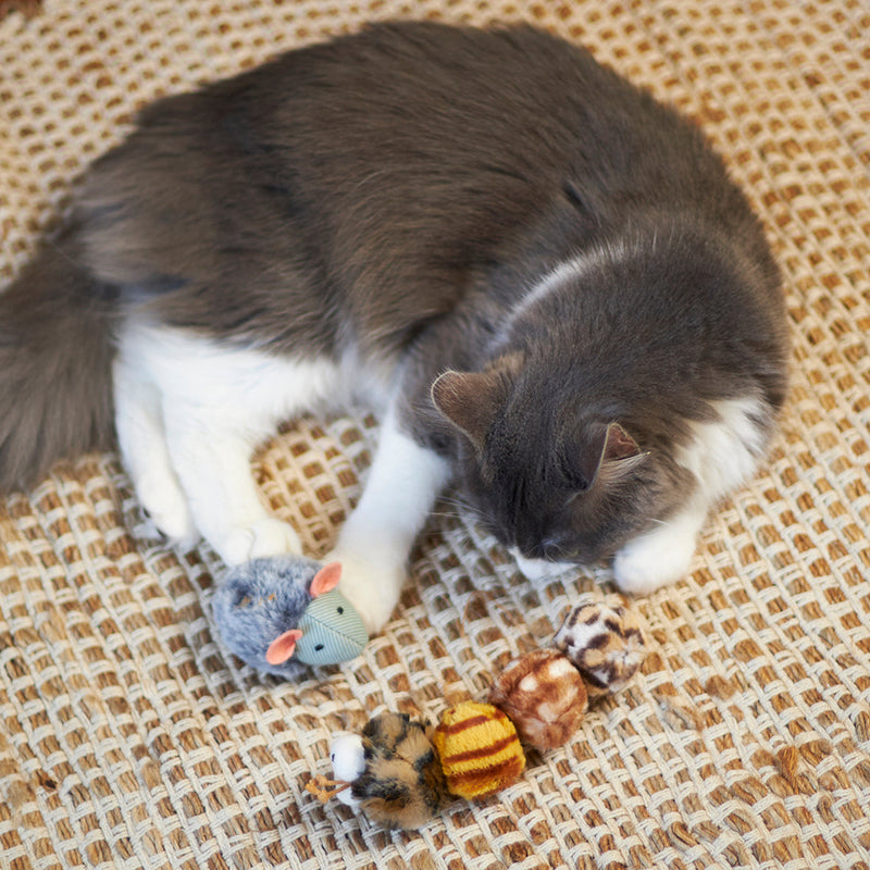Kazoo Velcro Worm Cat Toy-Habitat Pet Supplies