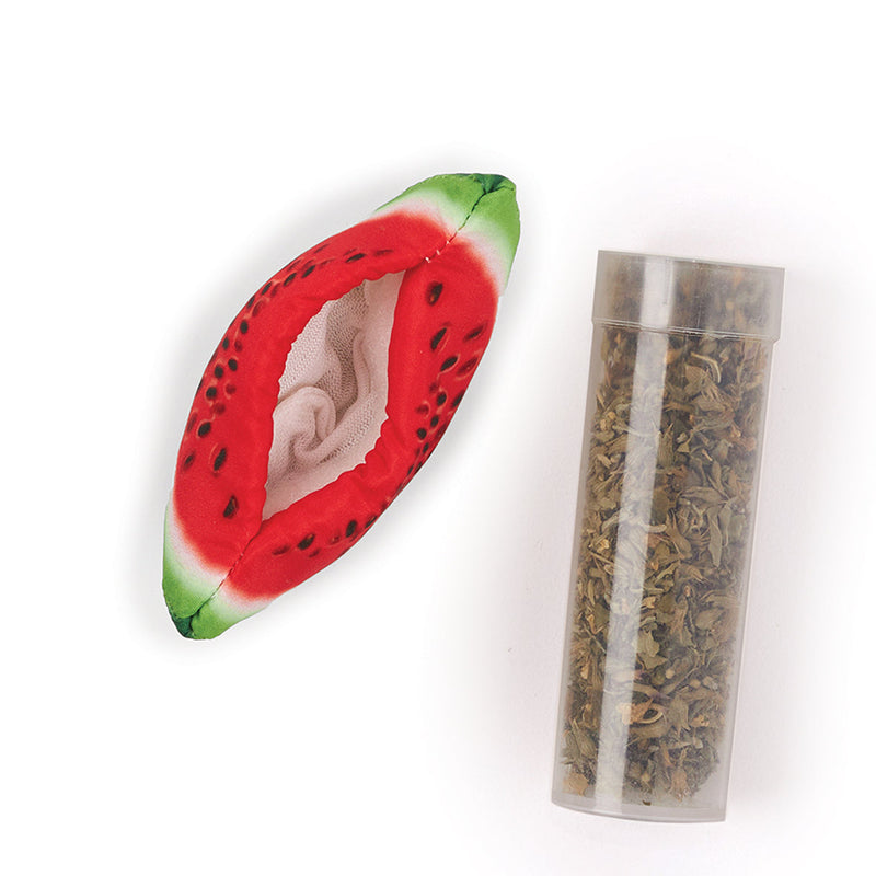Kazoo Watermelon Wedge Cat Toy ^._.^