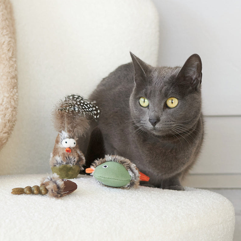 Kazoo Wobble Bird Cat Toy-Habitat Pet Supplies