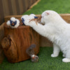 Kazoo Wobble Bird Cat Toy ^._.^