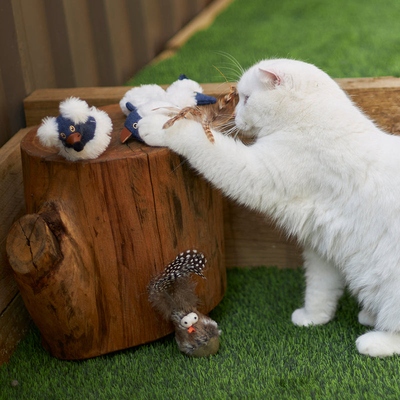 Kazoo Wobble Bird Cat Toy ^._.^