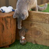 Kazoo Wobble Bird Cat Toy ^._.^