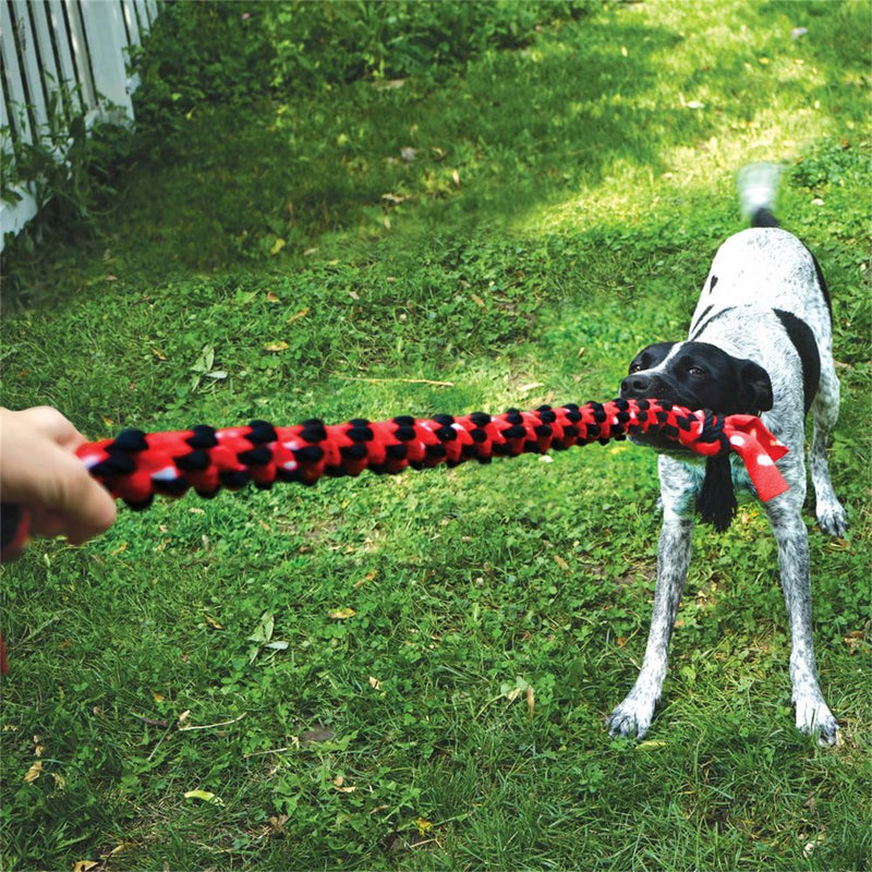 KONG Signature Rope 20 Inch Dual Knot Dog Toy