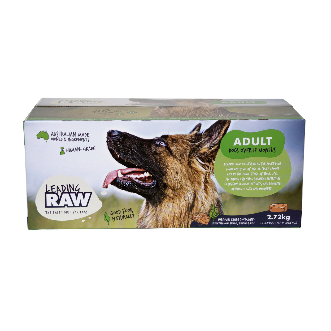 Adult raw sales dog food