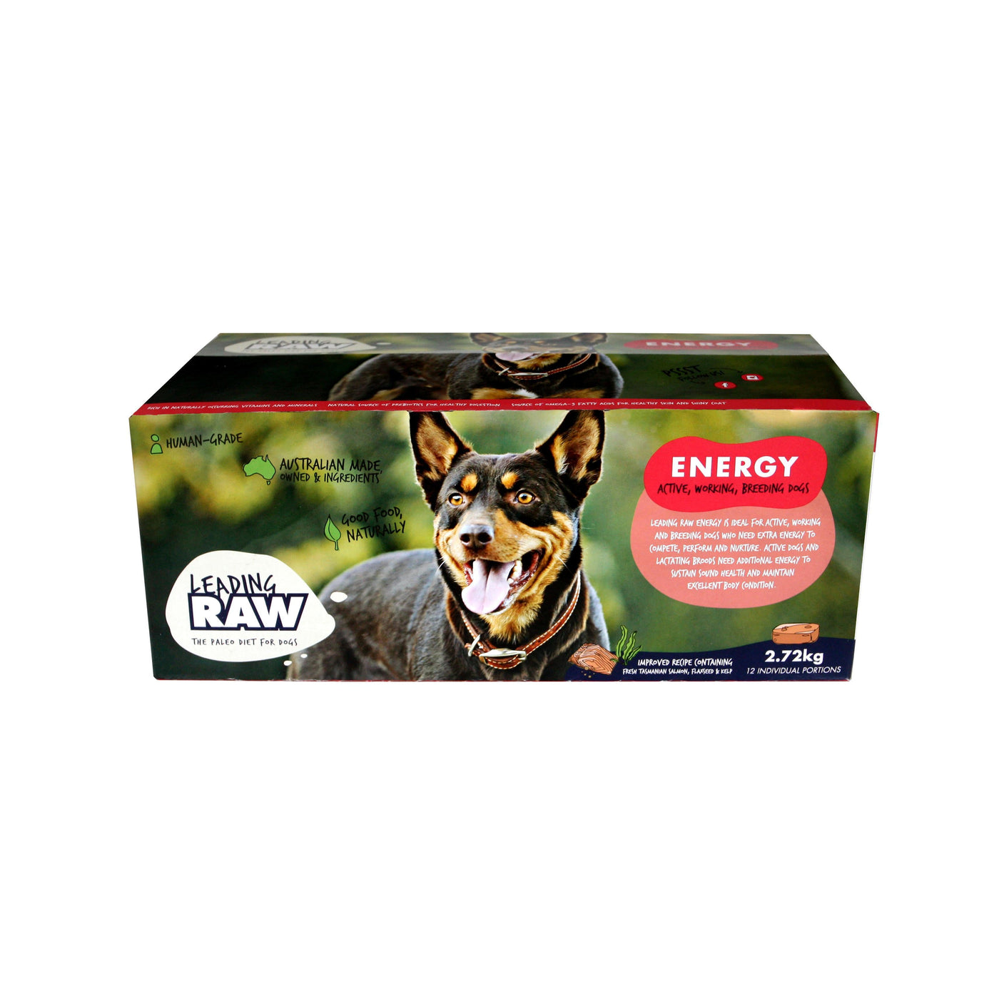 Raw energy dog food discount
