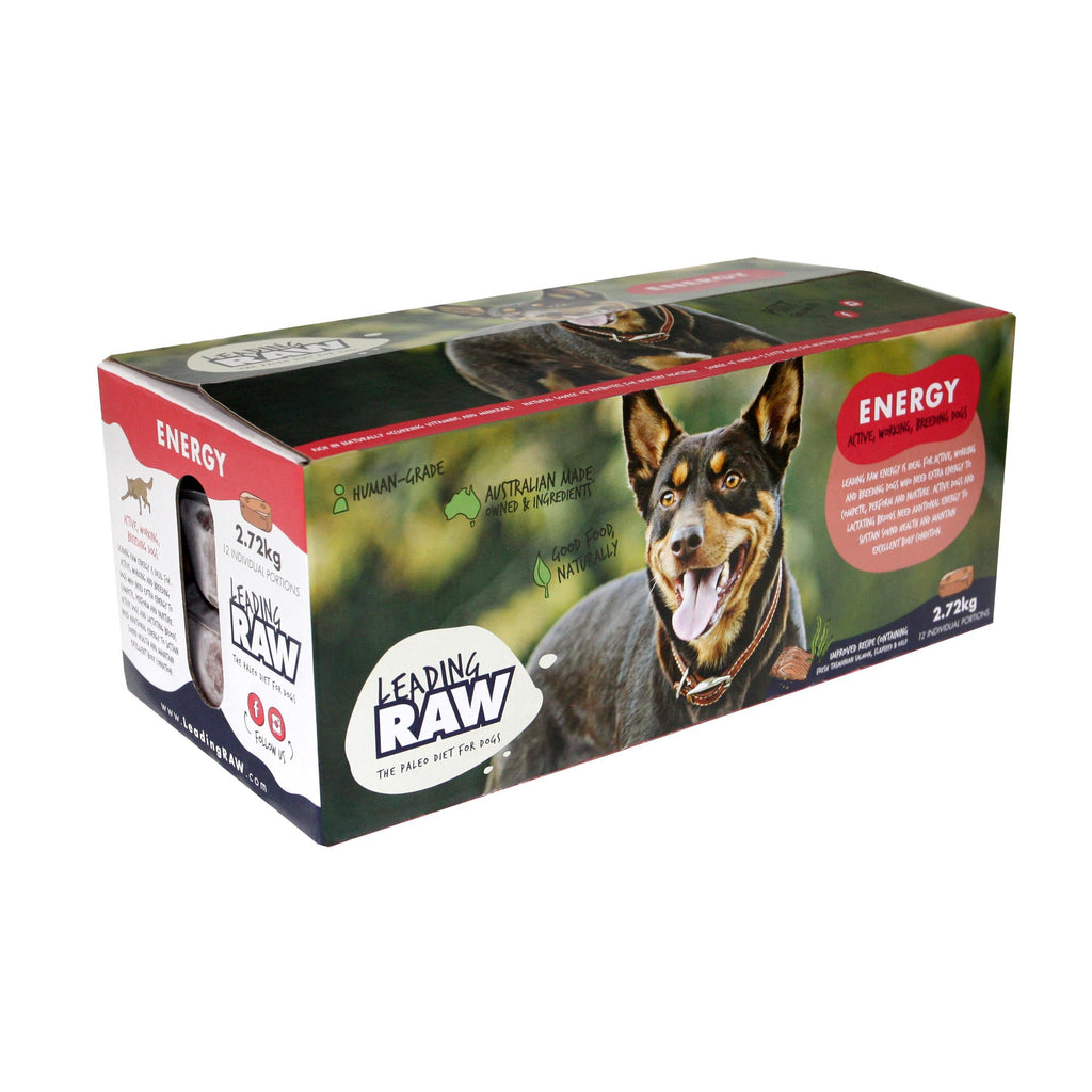 Leading RAW Energy Lifestage Dog Food 2.72kg-Habitat Pet Supplies