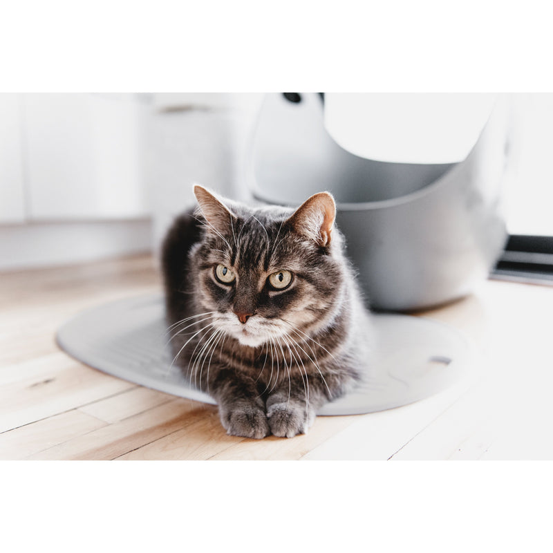 LitterLocker Cat Litter Box Mat ^._.^