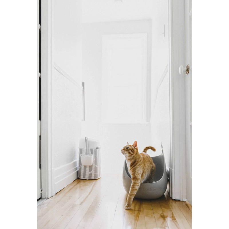 LitterLocker Cat Litter Box with Scoop Grey