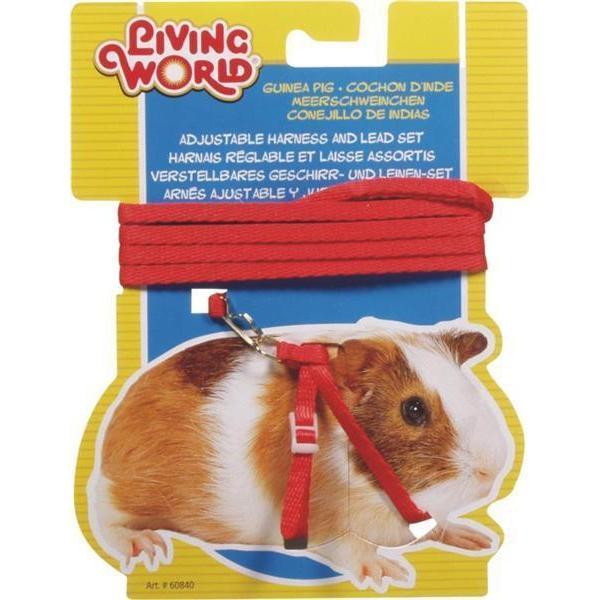 Living World Guinea Pig Harness and Lead Red-Habitat Pet Supplies