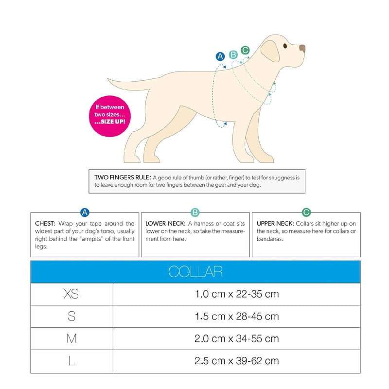 Max & Molly Blue Ocean Smart ID Dog Collar Medium***
