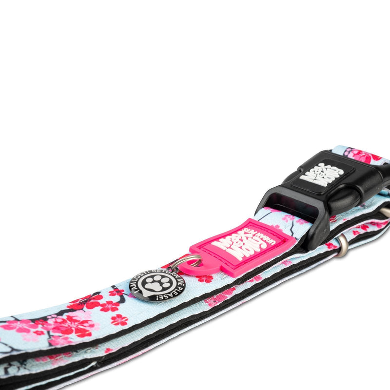 Max & Molly Cherry Bloom Smart ID Dog Collar Large