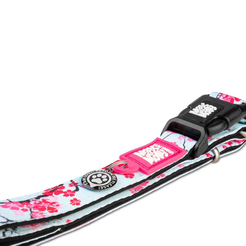 Max & Molly Cherry Bloom Smart ID Dog Collar Small