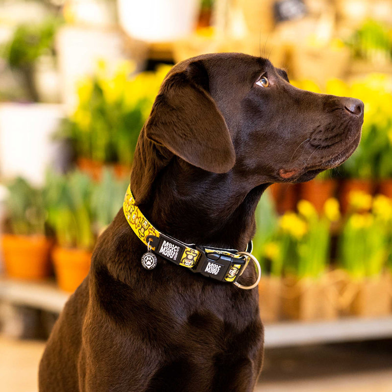 Max & Molly Monkey Maniac Smart ID Dog Collar Extra Small