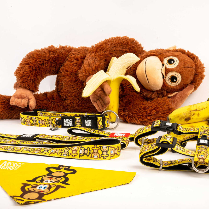 Max & Molly Monkey Maniac Smart ID Dog Collar Extra Small