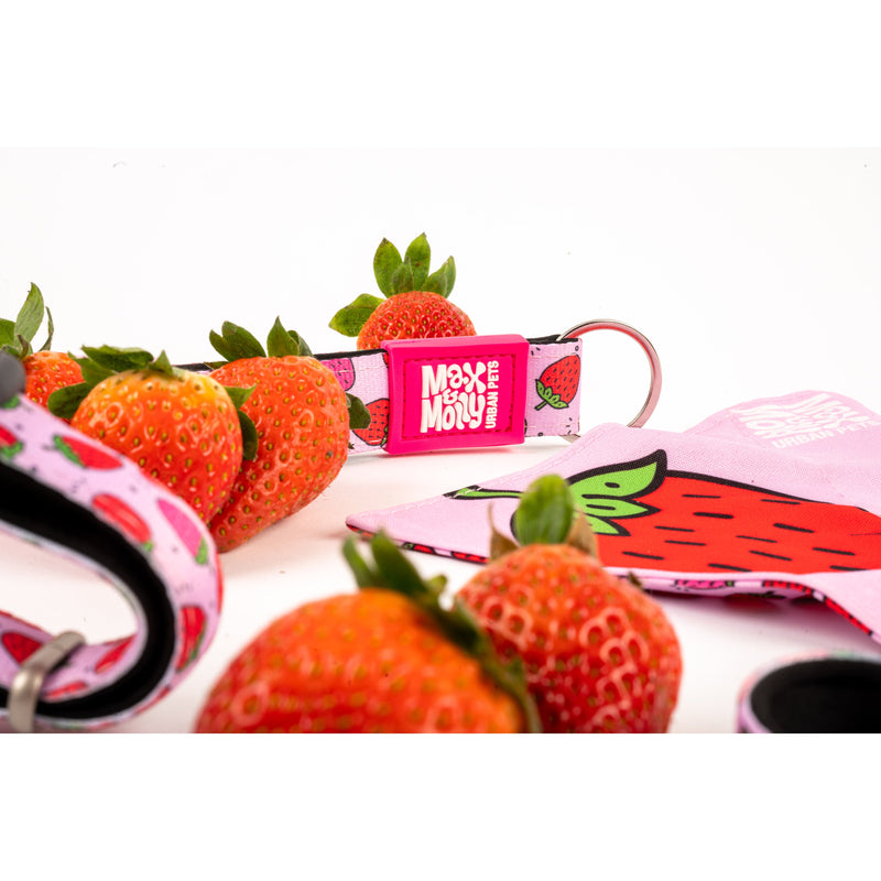 Max & Molly Strawberry Dream Smart ID Dog Collar Medium