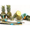 Max & Molly Sweet Pineapple Short Dog Lead Large***