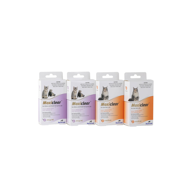 Moxiclear Flea and Worming Treatment for Kittens and Small Cats up to 4kg 6 Pack