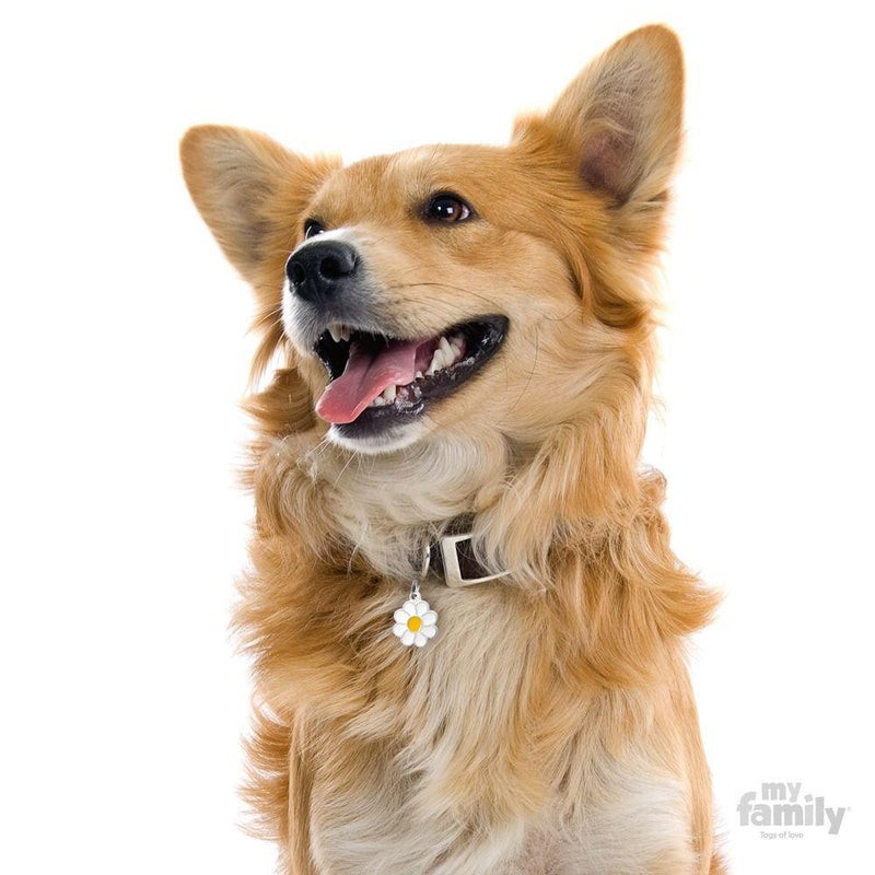 MY FAMILY CHARM DAISY - Habitat Pet Supplies Altona & Chirnside Park
