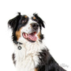 MY FAMILY CHARM KING - Habitat Pet Supplies Altona & Chirnside Park