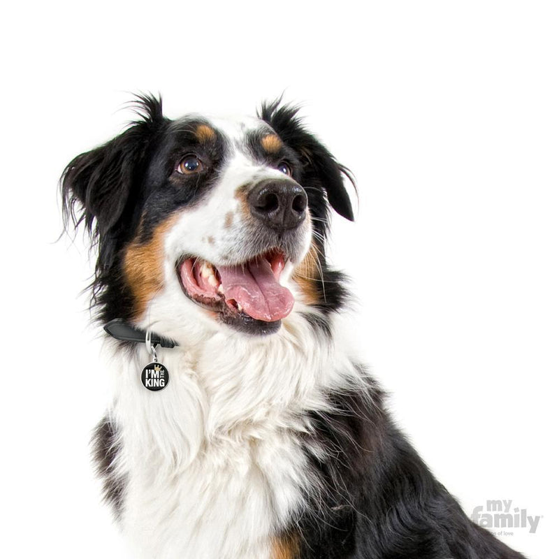 MY FAMILY CHARM KING - Habitat Pet Supplies Altona & Chirnside Park