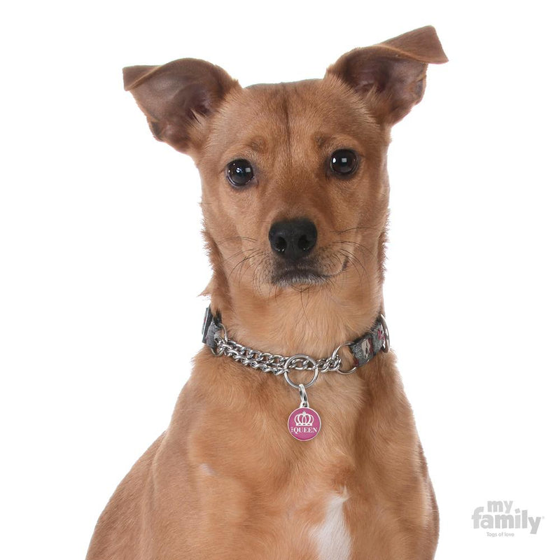 MY FAMILY CHARM QUEEN - Habitat Pet Supplies Altona & Chirnside Park