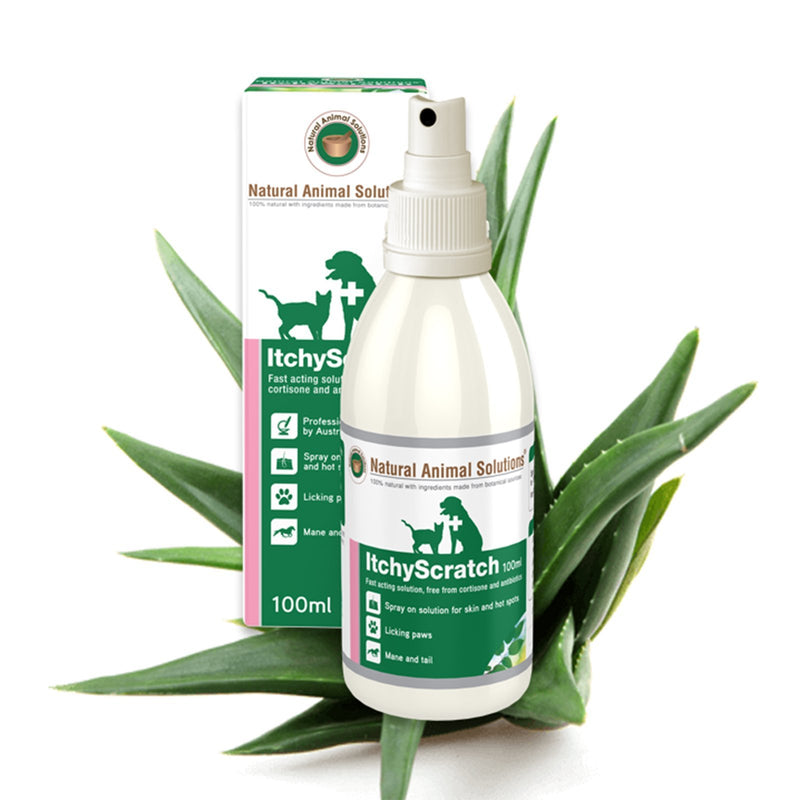 Natural Animal Solutions ItchyScratch Spray for Dogs and Cats 100ml-Habitat Pet Supplies