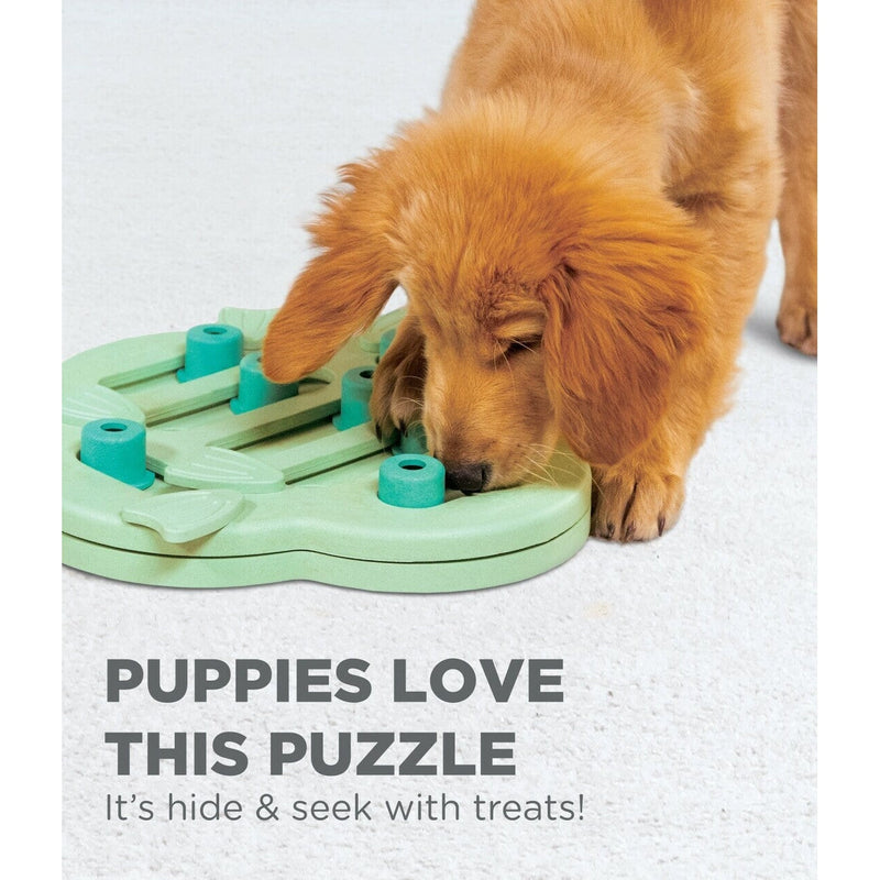 Nina Ottosson Hide and Slide Interactive Puzzle Dog Toy for Puppies