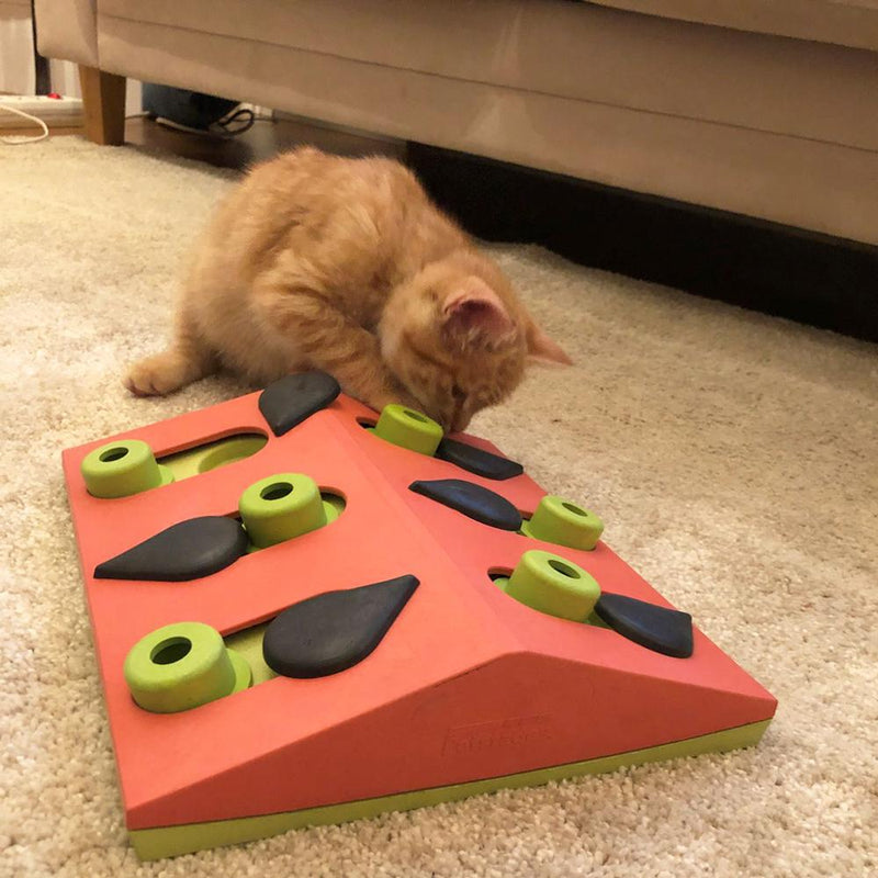 Nina Ottosson Melon Madness Puzzle and Play Cat Toy